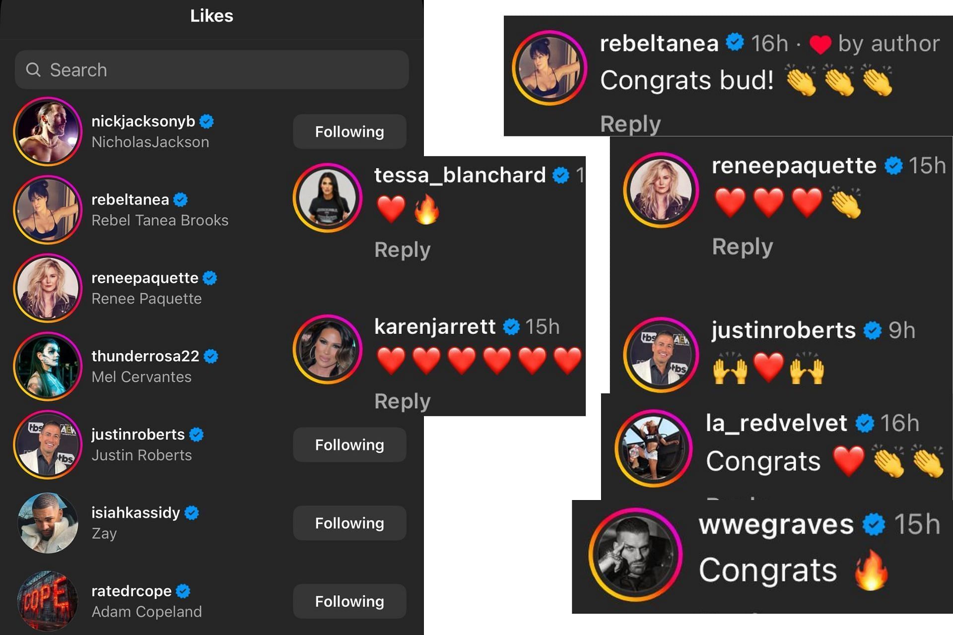 Several stars from the wrestling fraternity reacted to the great news shared by Dustin through likes and comments on Instagram